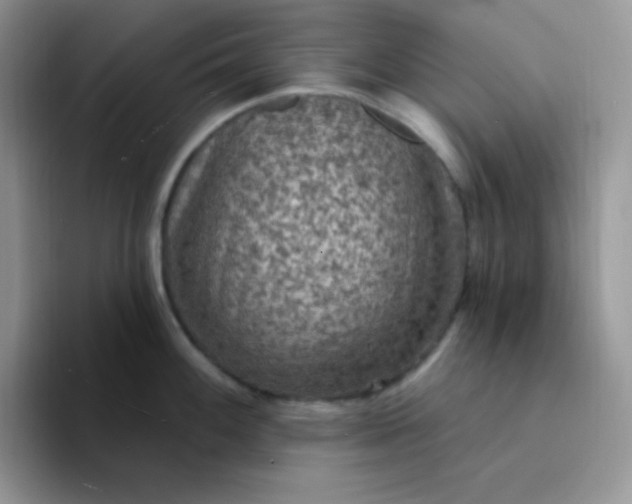 X0000094231100200711091309