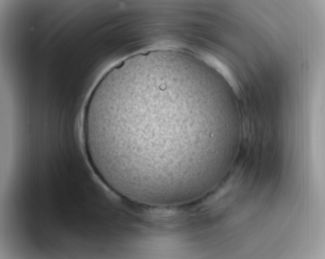 X0000094231103200711091309