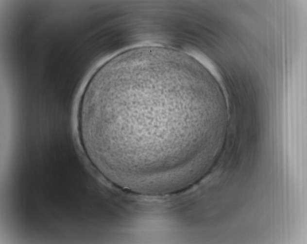 X0000094231104200711091309