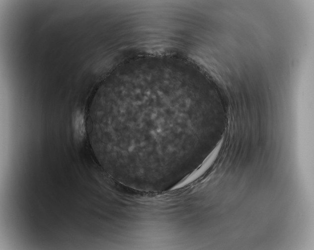 X0000094231106200711091309