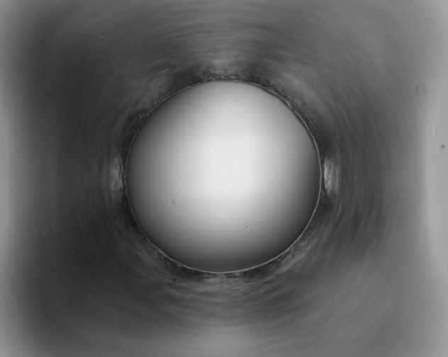 X0000094231107200711091309