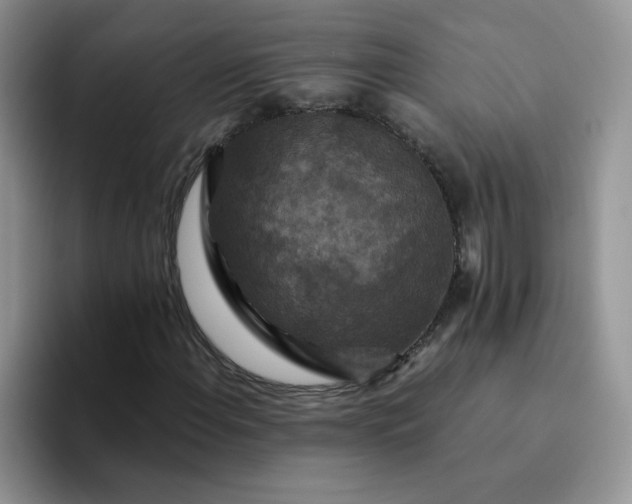 X0000094231108200711091309