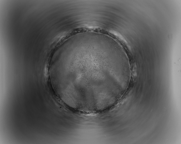 X0000094231110200711091309