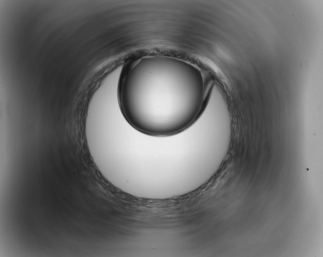 X0000094231112200711091309