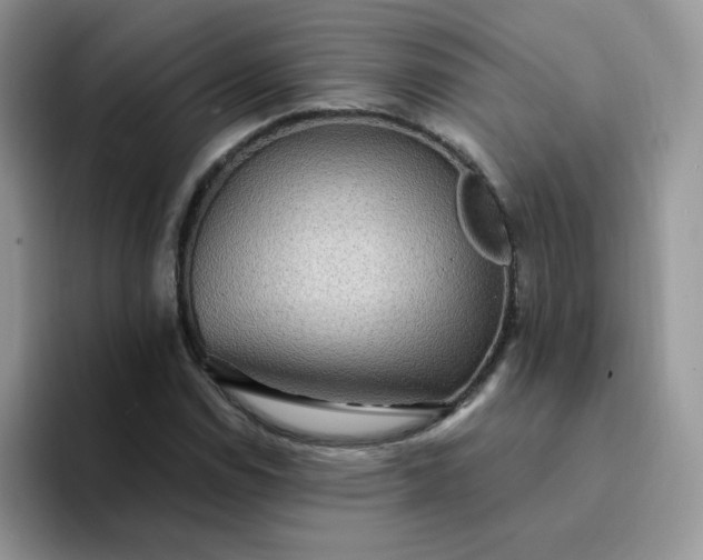 X0000094231114200711091309