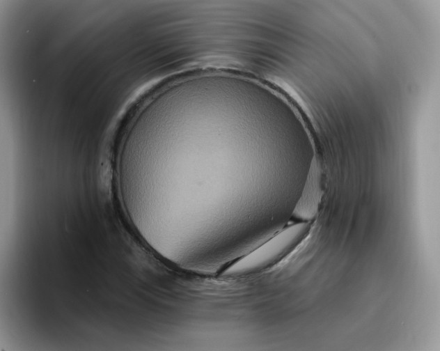 X0000094231115200711091309