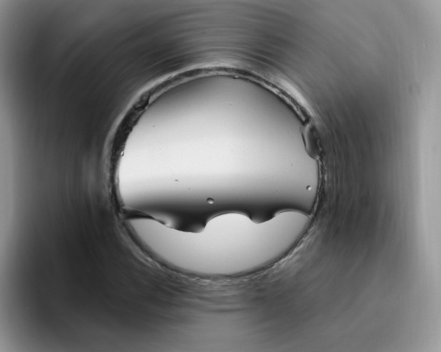 X0000094231116200711091309