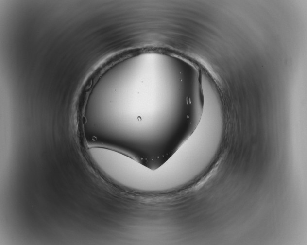 X0000094231118200711091309