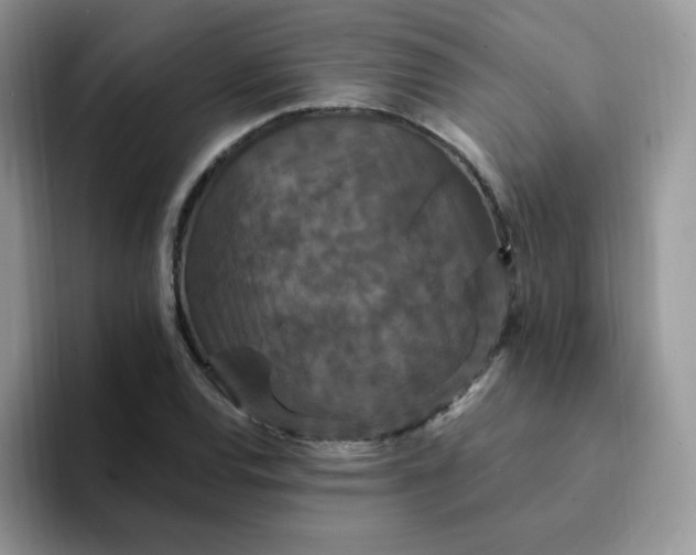 X0000094231120200711091309