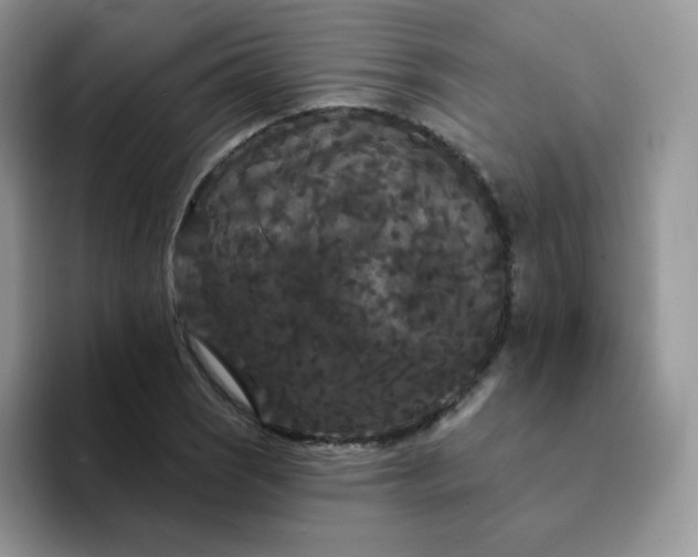 X0000094231121200711091309