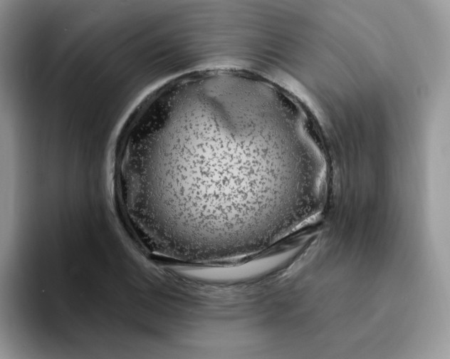 X0000094231124200711091309