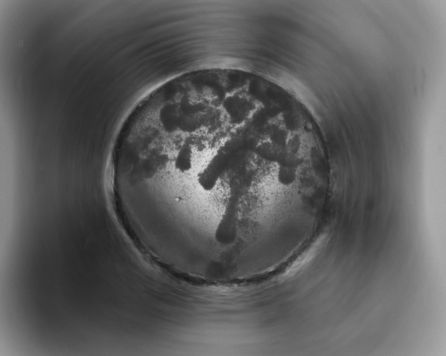 X0000094231125200711091309