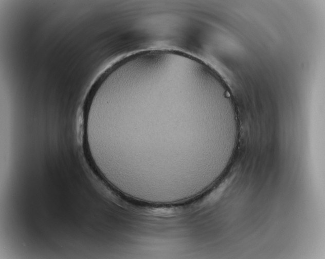 X0000094231126200711091309