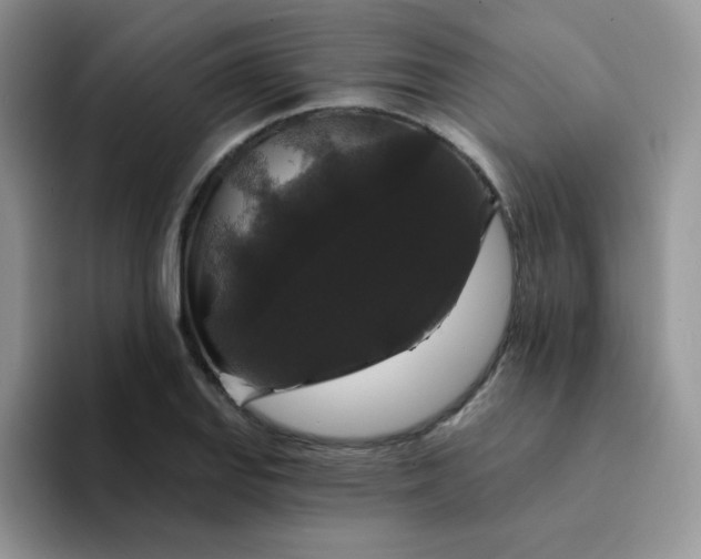 X0000094231127200711091309