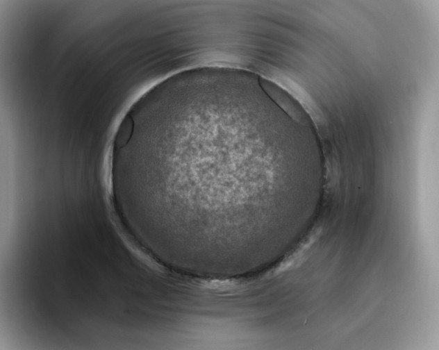 X0000094231128200711091309