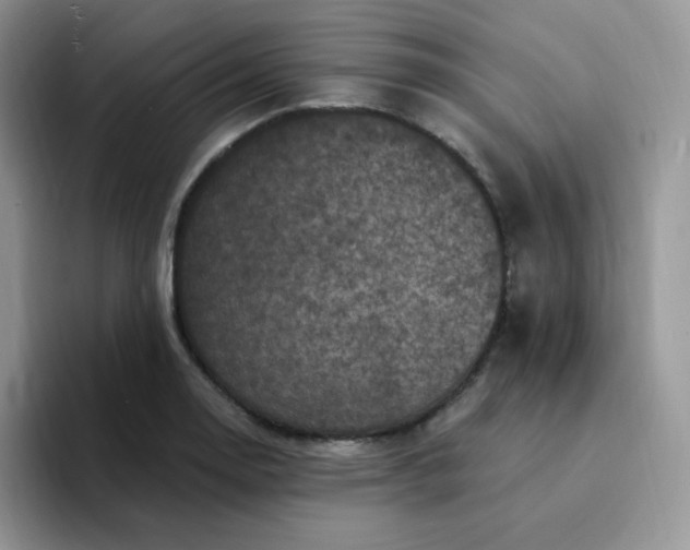 X0000094231130200711091309