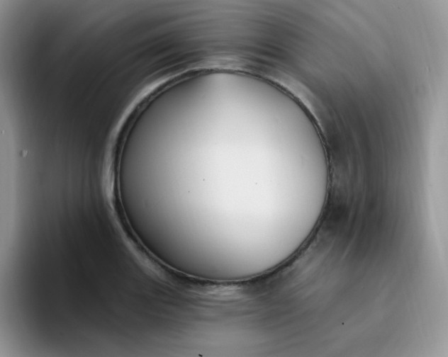 X0000094231131200711091309