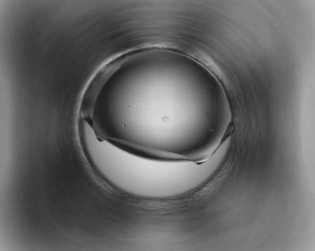 X0000094231132200711091309