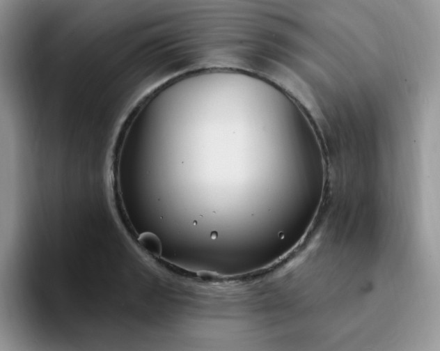 X0000094231133200711091309