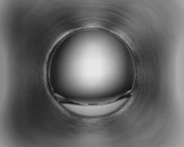 X0000094231134200711091309