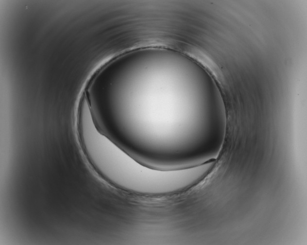 X0000094231135200711091309