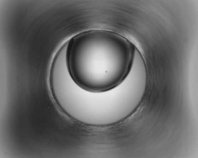 X0000094231136200711091309