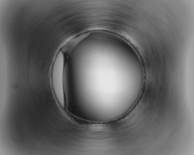 X0000094231137200711091309