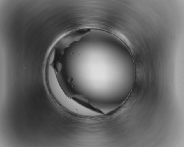 X0000094231138200711091309