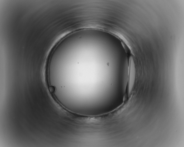 X0000094231139200711091309