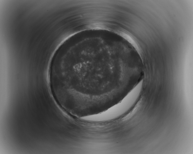 X0000094231141200711091309