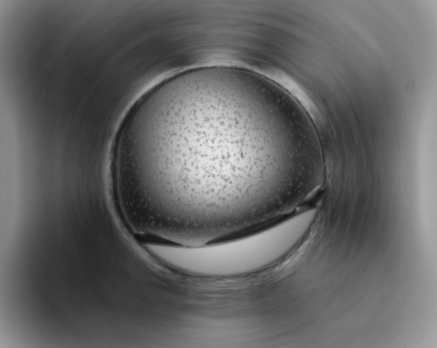 X0000094231142200711091309