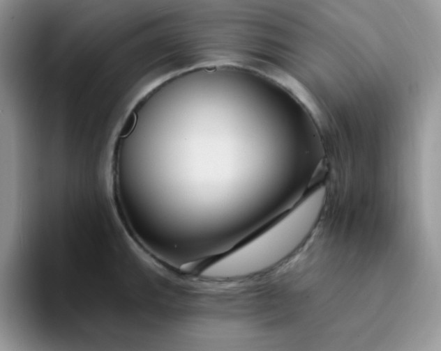 X0000094231143200711091309