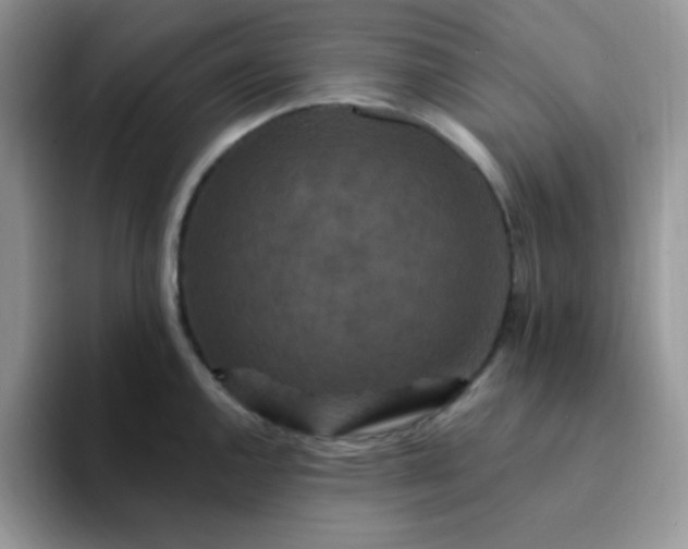 X0000094231144200711091309