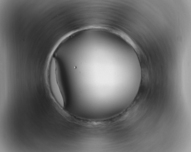 X0000094231148200711091309