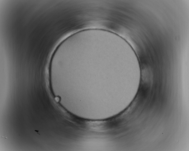 X0000094231150200711091309