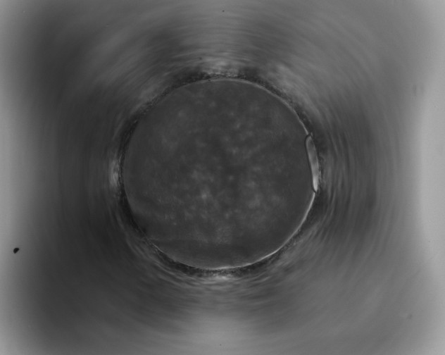 X0000094231154200711091309