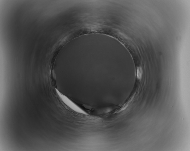 X0000094231155200711091309