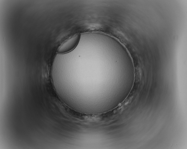 X0000094231158200711091309