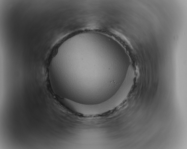 X0000094231160200711091309