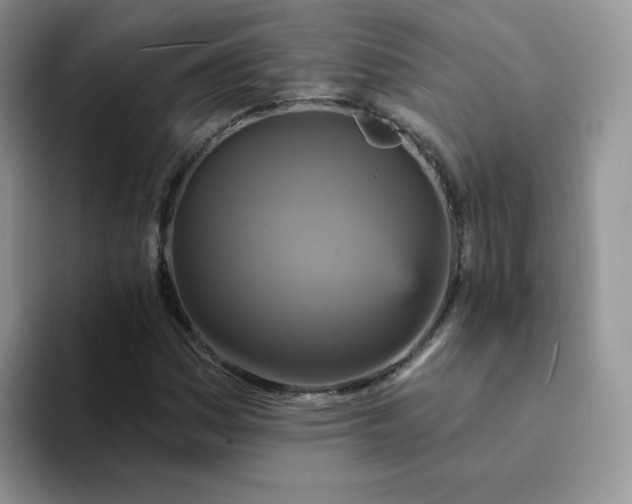 X0000094231161200711091309