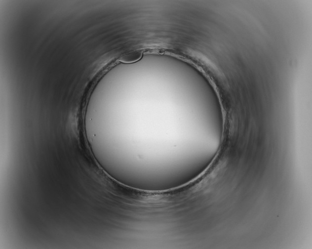 X0000094231162200711091309