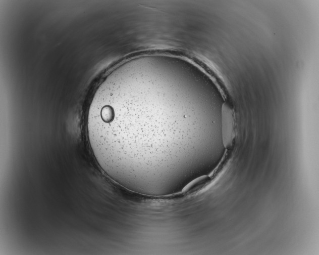 X0000094231163200711091309