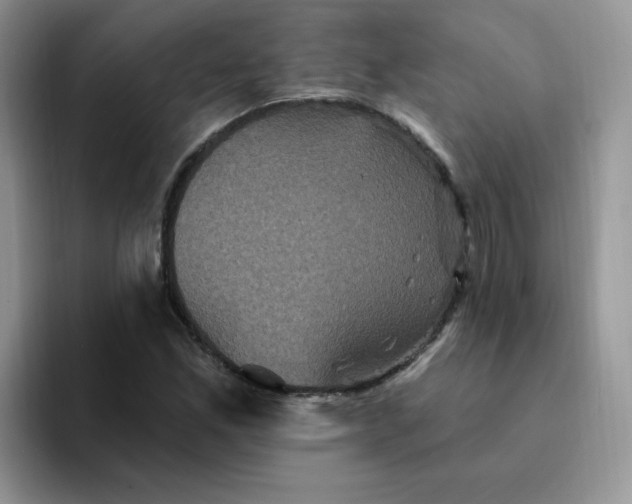 X0000094231165200711091309