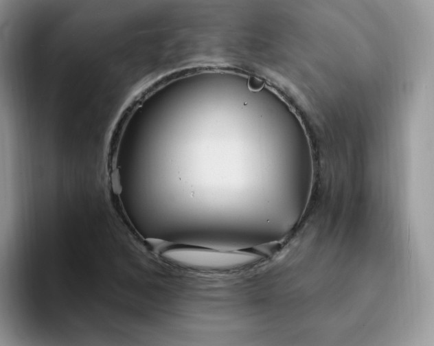 X0000094231168200711091309