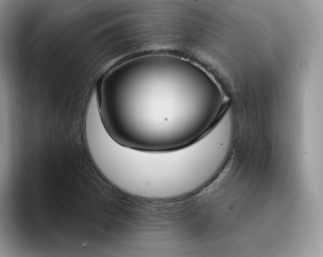 X0000094231169200711091309