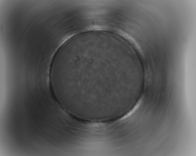 X0000094231170200711091309