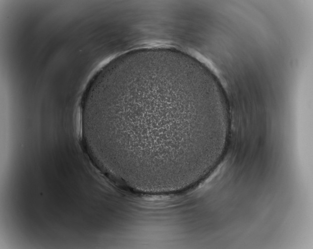 X0000094231171200711091309