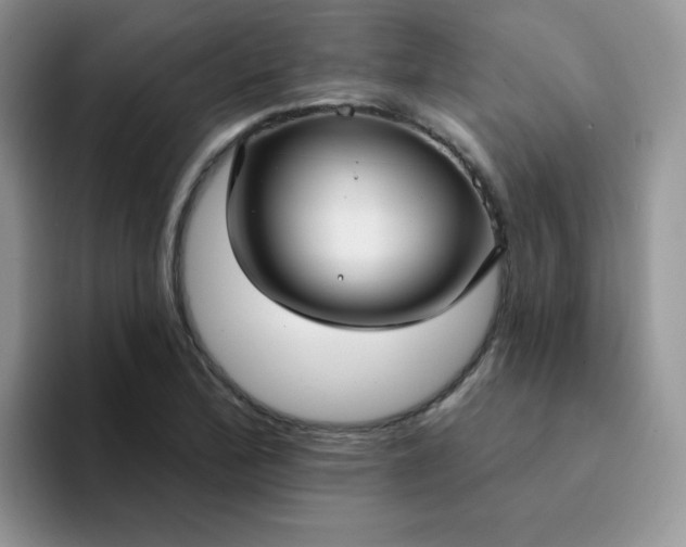 X0000094231172200711091309