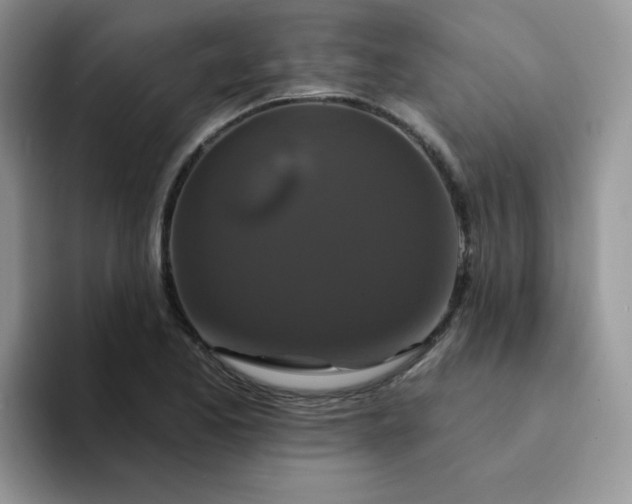 X0000094231173200711091309