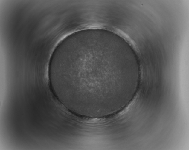 X0000094231174200711091309